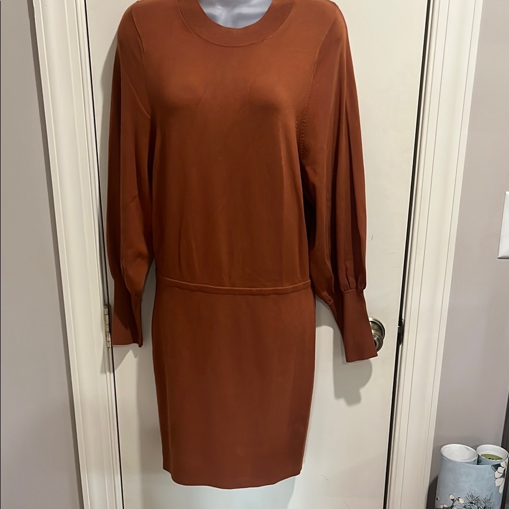 Elegant Rust Dress